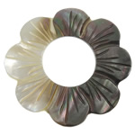 composant varié de coquillage, coquille noire, fleur, naturel Environ 19mm, Vendu par PC
