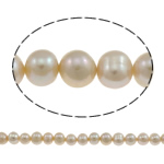Potato Cultured Freshwater Pearl Beads, natural, pink, 8-9mm Approx 0.8-1mm Approx 15 Inch 