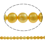 Perlas Redondas Freshwater, Perlas cultivadas de agua dulce, Esférico, amarillo, 10-11mm, agujero:aproximado 0.8mm, longitud:aproximado 15 Inch, Vendido por Sarta