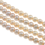 Perlas Redondas Freshwater, Perlas cultivadas de agua dulce, Botón, natural, color mixto, 8-9mm, agujero:aproximado 0.8-1mm, longitud:aproximado 15.3 Inch, Vendido por Sarta