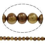 Perlas Patata Freshwater, Perlas cultivadas de agua dulce, color café, 8-9mm, agujero:aproximado 0.8mm, longitud:aproximado 15 Inch, Vendido por Sarta