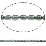 Rice Cultured Freshwater Pearl Beads, natural, purple, Grade A, 3-4mm Approx 0.8mm Approx 15 Inch 