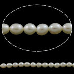 Rice Cultured Freshwater Pearl Beads, natural, white, Grade A, 4-5mm Approx 0.8mm Approx 14 Inch 