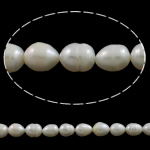 Rice Cultured Freshwater Pearl Beads, natural, white, Grade AAA, 10-11mm Approx 0.8mm Approx 15.5 Inch 
