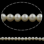 Potato Cultured Freshwater Pearl Beads, natural, white, Grade AA, 5mm Approx 0.8mm Approx 15 Inch 