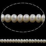 Perlas Botón Freshwater , Perlas cultivadas de agua dulce, natural, Blanco, Grado A, 7-8mm, agujero:aproximado 0.8mm, longitud:aproximado 15.5 Inch, Vendido por Sarta