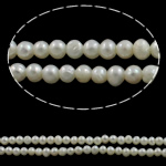 Perlas Patata Freshwater, Perlas cultivadas de agua dulce, natural, Blanco, 2-3mm, agujero:aproximado 0.8mm, longitud:aproximado 15.3 Inch, Vendido por Sarta