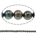 Perlas Patata Freshwater, Perlas cultivadas de agua dulce, Negro, 8-9mm, agujero:aproximado 0.8mm, longitud:aproximado 14.5 Inch, Vendido por Sarta