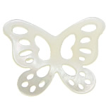 Weiße Muschel Cabochon, Schmetterling, flache Rückseite & hohl, 19x14x2mm, verkauft von PC