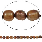 Perla Barroca Freshwater, Perlas cultivadas de agua dulce, Barroco, marrón, Grado A, 11-12mm, agujero:aproximado 0.8mm, longitud:aproximado 15 Inch, Vendido por Sarta