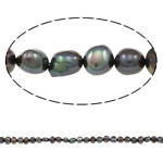 Perles nacres baroques de culture d'eau douce , perle d'eau douce cultivée, noire, 8-9mm Environ 0.8mm Environ 14.5 pouce, Vendu par brin