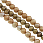 Perlas Patata Freshwater, Perlas cultivadas de agua dulce, color mixto, 4.5-5mm, agujero:aproximado 0.8mm, longitud:aproximado 14.5 Inch, Vendido por Sarta