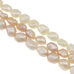 Perles nacres baroques de culture d'eau douce , perle d'eau douce cultivée, naturel, couleurs mélangées, grade A, 6-7mm Environ 0.8mm Environ 14.5 pouce, Vendu par brin