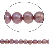 Potato Cultured Freshwater Pearl Beads, purple, 10-11mm Approx 0.8mm Approx 14.5 Inch 