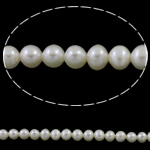 Perlas Patata Freshwater, Perlas cultivadas de agua dulce, natural, Blanco, 5-5.5mm, agujero:aproximado 0.8mm, longitud:aproximado 15.7 Inch, Vendido por Sarta