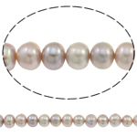 Potato Cultured Freshwater Pearl Beads, natural, purple, 6-8mm Approx 0.8mm Approx 15.7 Inch 