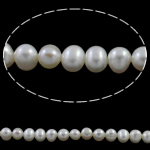 Perlas Patata Freshwater, Perlas cultivadas de agua dulce, natural, Blanco, 5-6mm, agujero:aproximado 0.8mm, longitud:aproximado 15.7 Inch, Vendido por Sarta
