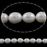 Perles d'eau douce de culture de riz, perle d'eau douce cultivée, naturel, blanc, 12-14mm Environ 0.8mm Environ 15.7 pouce, Vendu par brin