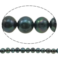 Round Cultured Freshwater Pearl Beads, natural, black, Grade A, 8-9mm Approx 0.8mm .5 Inch 