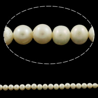 Perle comme Pommes de terre perles d'eau douce, perle d'eau douce cultivée, pomme de terre, naturel, blanc, Niveau AA, 6-7mm Environ 0.8mm pouce, Vendu par brin
