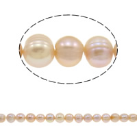 Perle comme Pommes de terre perles d'eau douce, perle d'eau douce cultivée, pomme de terre, naturel, Niveau AA, 10-11mm Environ 0.8mm pouce, Vendu par brin