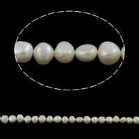 Perles nacres baroques de culture d'eau douce , perle d'eau douce cultivée, naturel, blanc, grade A, 7-8mm Environ 0.8mm pouce, Vendu par brin