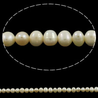 Perlas Patata Freshwater, Perlas cultivadas de agua dulce, natural, Blanco, Grado AA, 4.5-5mm, agujero:aproximado 0.8mm, longitud:15.5 Inch, Vendido por Sarta