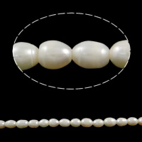 Perles d'eau douce de culture de riz, perle d'eau douce cultivée, naturel, multiple tailles pour le choix, blanc, grade A, 9-10mm Vendu par brin