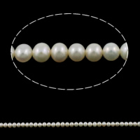淡水養殖の真円真珠, 天然有核フレッシュウォーターパール, ラウンド形, 天然, 無色, グレードAA, 4-5mm, 穴:約 0.8mm, 長さ:15 インチ, 売り手 ストランド