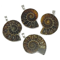 Trumpet Shell Pendant, with Brass, Snail, platinum color plated, 28-35x38-48x8-10mm Approx 