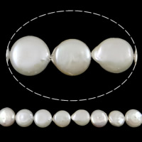 Coin Cultured Freshwater Pearl Beads, natural, white, 13-14mm Approx 0.8mm .5 Inch 
