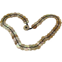 Natural Seashell Necklace, with Nylon Cord, 15mm Approx 18.5 Inch 