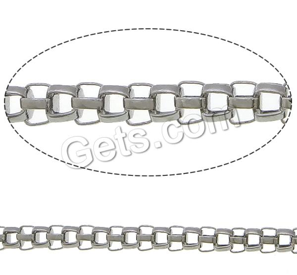 Linterna de acero inoxidable Cadena, acero inoxidable 304, cadena de linterna & más tamaños para la opción, color original, Vendido por m