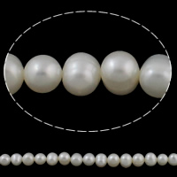 Perlas Patata Freshwater, Perlas cultivadas de agua dulce, natural, Blanco, 7-8mm, agujero:aproximado 0.8mm, longitud:aproximado 14.7 Inch, Vendido por Sarta