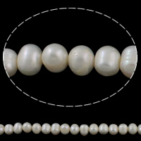 Perlas Patata Freshwater, Perlas cultivadas de agua dulce, natural, Blanco, 9-10mm, agujero:aproximado 0.8mm, longitud:aproximado 15 Inch, Vendido por Sarta