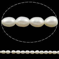 Perles d'eau douce de culture de riz, perle d'eau douce cultivée, naturel, blanc, grade A, 2.5-3mm Environ 0.8mm  pouce, Vendu par brin