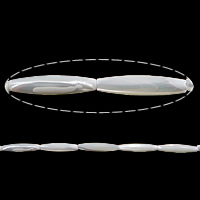 天然白いシェル・ビーズ, 白い貝, チューブ形 穴:約 1.2mm, 長さ:約 15 インチ, 約 13パソコン/ストランド, 売り手 ストランド