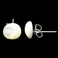 Seashell Earrings, Natural Seashell, stainless steel post pin, Flat Round, plated 8mm 