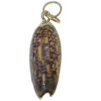 Trumpet Shell Pendant, with Brass, gold color plated Approx 2mm 