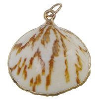 Trumpet Shell Pendant, with pearl & Brass, gold color plated Approx 4mm 
