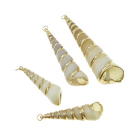 Трубные оболочки кулон латунь, Ракушка, Спиральная форма, плакирован золотом, 30~54x8~13mm, продается PC