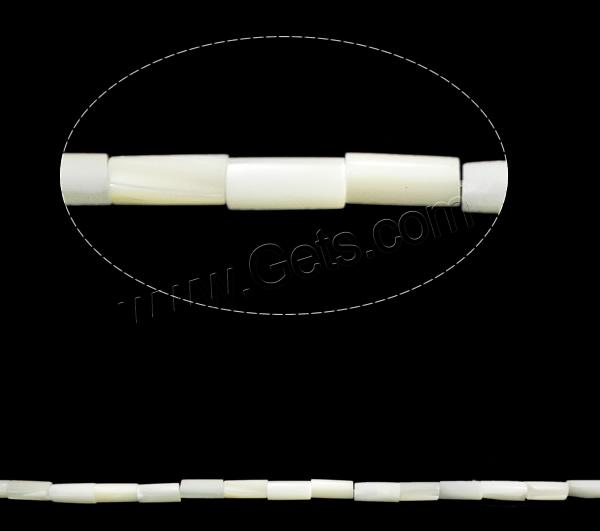 Seashell Beads, Natural Seashell, Tube, different size for choice, white, Hole:Approx 1mm, Length:Approx 15.7 Inch, Sold By Strand