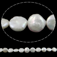 Pièce de culture des perles d'eau douce, perle d'eau douce cultivée, pièce de monnaie, naturel, blanc, 11-12mm Environ 0.8mm pouce, Vendu par brin