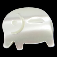Natürliche weiße Muschelperlen, Elephant, 13x10x2mm, Bohrung:ca. 1mm, verkauft von PC