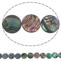 Abalone Shell Beads, Flat Round, 12*3mm Approx 0.8mm Approx 15 Inch 
