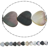 Perlas De Concha Del Labio Negro, Nácar Negra, Corazón, 12x11x2.5mm, agujero:aproximado 0.8mm, longitud:aproximado 15.5 Inch, 38PCs/Sarta, Vendido por Sarta