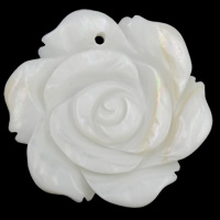 Подвески их натуральных ракушек, Пресноводные оболочка, Форма цветка, белый отверстие:Приблизительно 1.5mm, продается PC