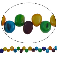perle de coquillage teint, coquille, pepite, multicolore Environ 1mm Environ 15.5 pouce, Environ Vendu par brin