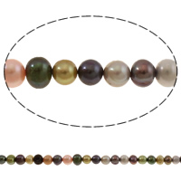 Perles nacres baroques de culture d'eau douce , perle d'eau douce cultivée, naturel, multicolore, grade A, 5-6mm Environ 0.8mm .4 pouce, Vendu par brin