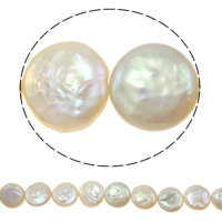 Pièce de culture des perles d'eau douce, perle d'eau douce cultivée, pièce de monnaie, naturel, 12-13mm Environ 0.8mm  pouce, Vendu par brin